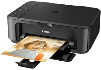 Canon Pixma MG2250 Tintenpatronen