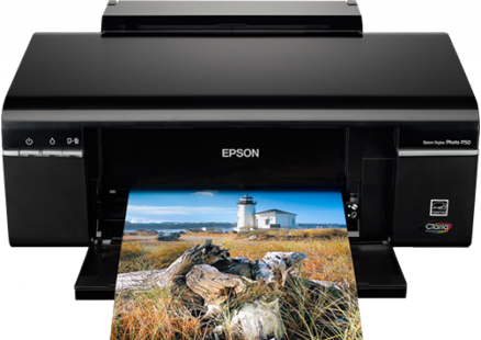 Epson Stylus Photo P50 Tintenpatronen