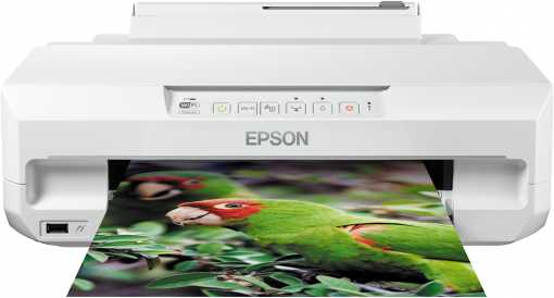 Epson Expression Photo XP-55 Tintenpatronen